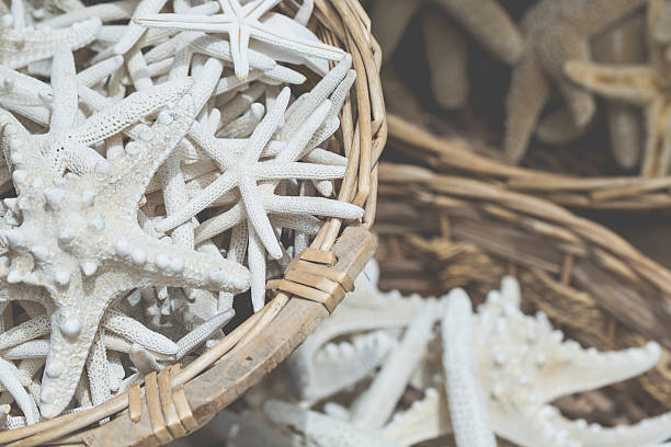 istock Starfish and seashells souvenirs for sale 520364072