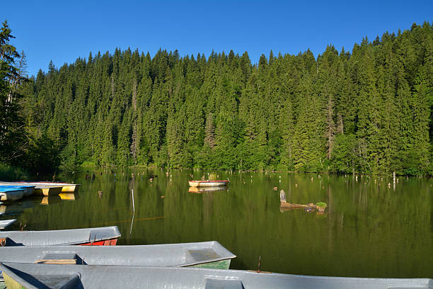 istock beautiful landscape from lake 520364542