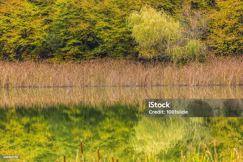 autumn landscape autumn with lake Autumn Stock Photo