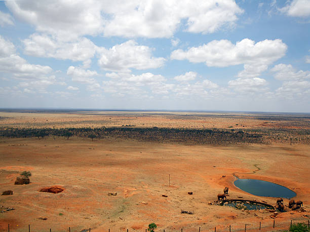 istock Tsavo East National Park 520364925