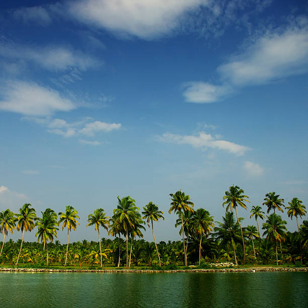 istock backwaters of Kerala 520365063