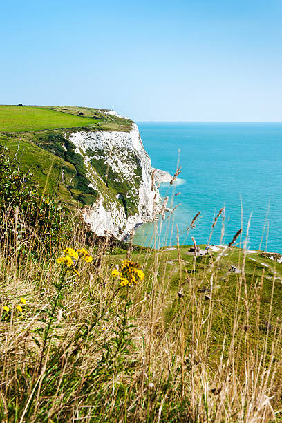 istock White Cliffs of Dover on a clear sunny day 520365393