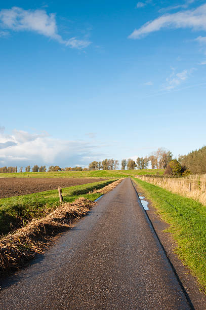 istock Narrow country road after the rain 520365887