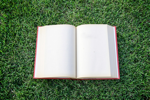 blank opened book outdoors on the green grassland and pen