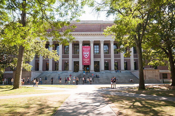 harvard widener biblioteca - harvard university - fotografias e filmes do acervo