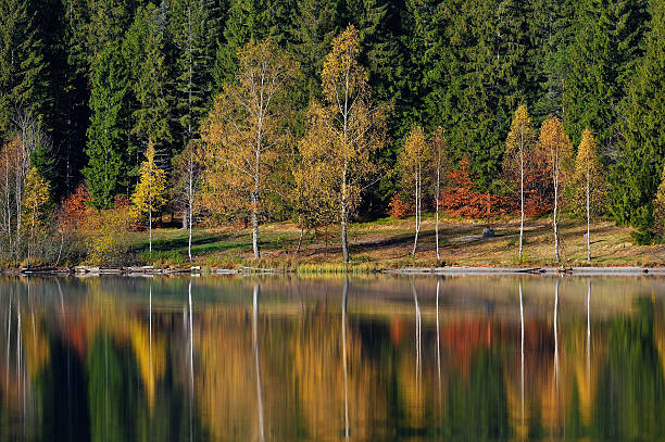 Autumn Landscape. Mountains in Autumn. stock photo