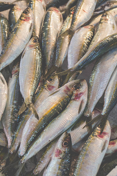 Fresh fish in the fish market - Greece