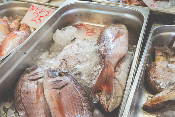 istock Fresh fish in the fish market - Greece 520368570