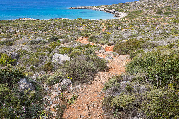 istock Panoramic view of the sea coast with turquoise water. 520369836