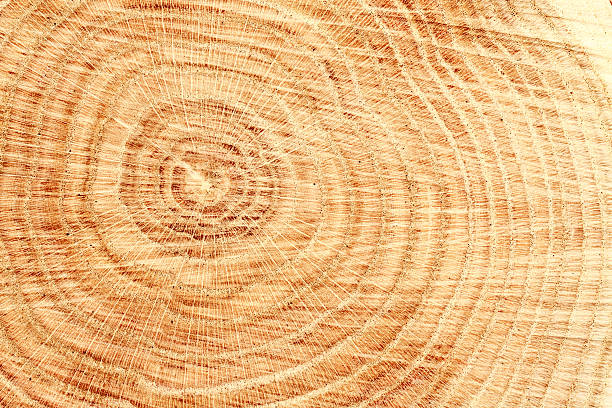 Wood texture stock photo