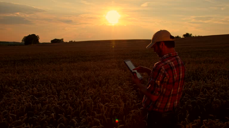 WS DS Farmer With A Digital Tablet In The Field