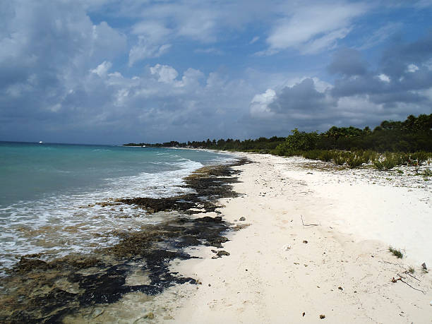 Maria La Gorda The awesome beach of  Maria La Gorda maria la gorda stock pictures, royalty-free photos & images