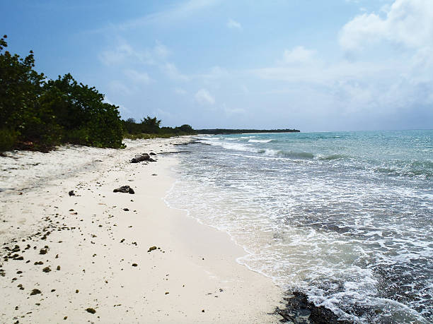 Maria La Gorda The awesome beach of  Maria La Gorda maria la gorda stock pictures, royalty-free photos & images