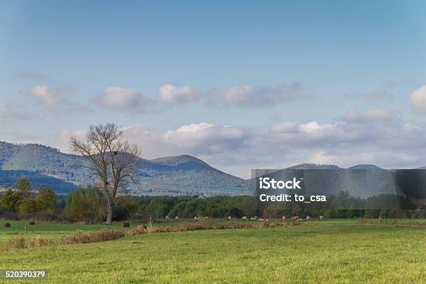 Landschaft Stockfoto und mehr Bilder von Agrarbetrieb - Agrarbetrieb, Ausrüstung und Geräte, Berufliche Beschäftigung