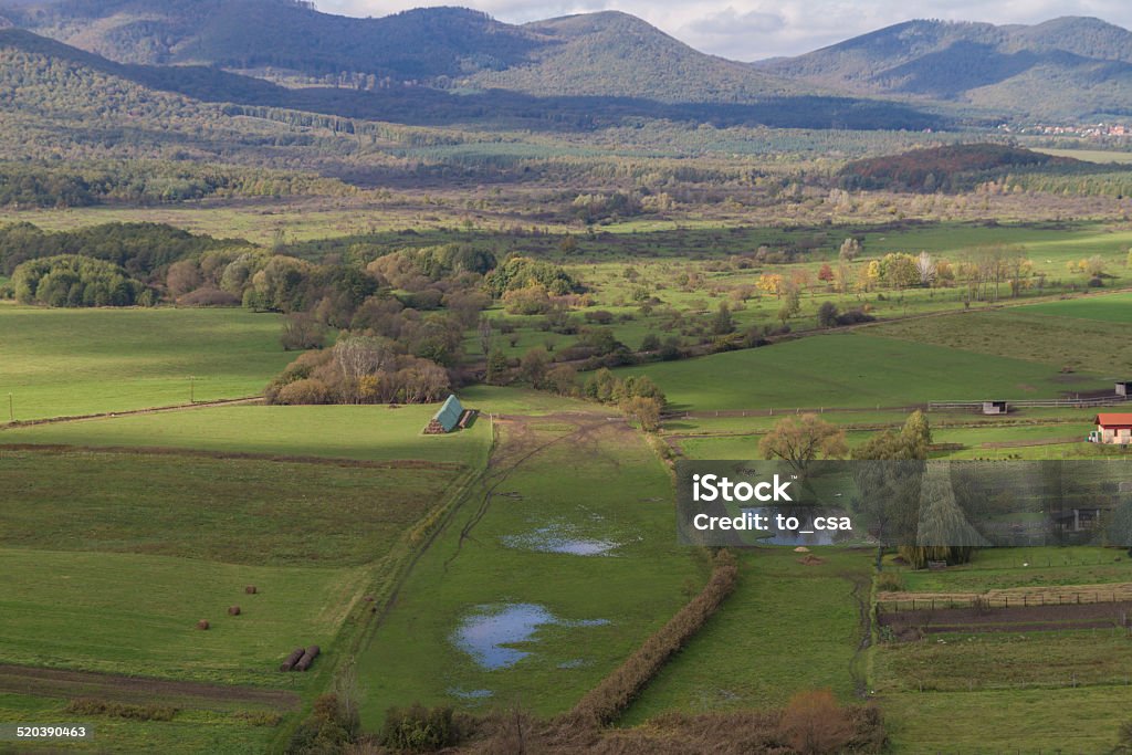 Landscape Agricultural Field Stock Photo