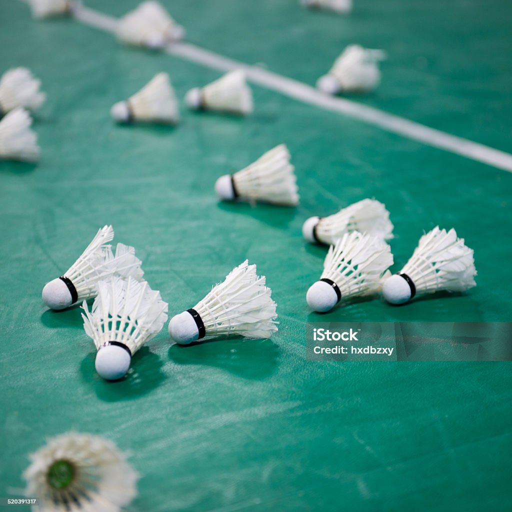 badminton Shuttlecocks on the bodminton court floor. Badminton - Sport Stock Photo