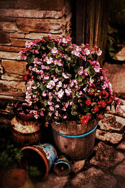 istock country garden 520392271