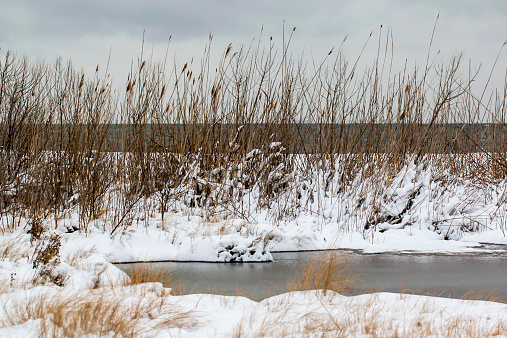 A winter view of the Chesapeake Bay shoreline in Maryland.