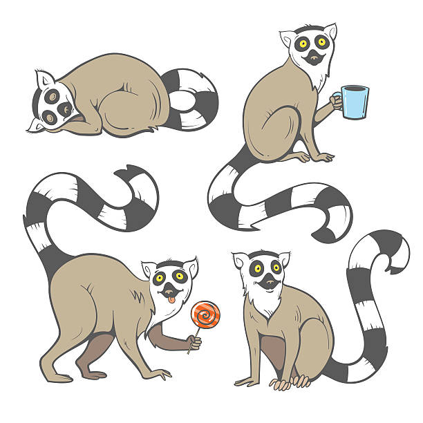 kreskówka lemury zestaw. - lemur stock illustrations