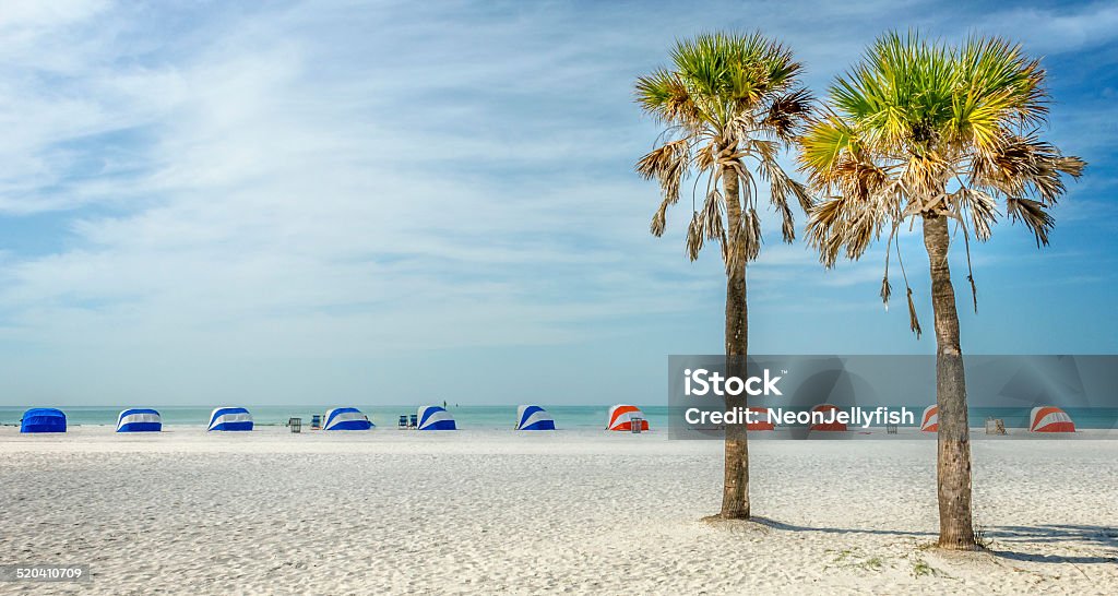 Palms of Clearwater Two palm trees standing proud and tall on Clearwater Beach, Florida. Clearwater - Florida Stock Photo
