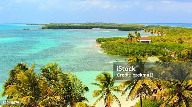 Contoy Island Beach Mexico Stock Photo - Download Image Now - Contoy Island, Island, Aerial View