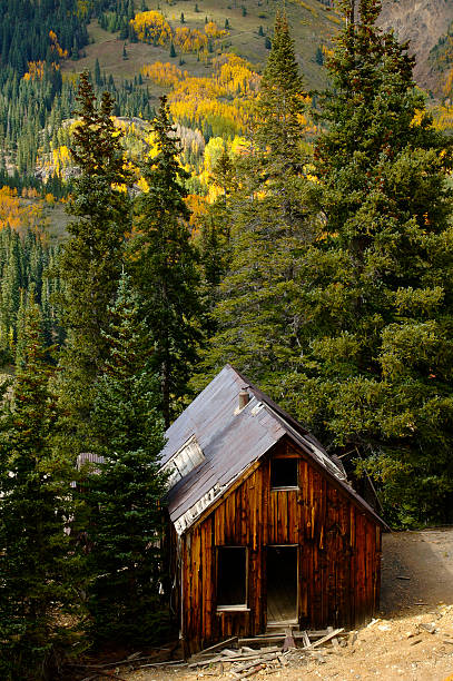 istock Old Cabin at the Yankee Girl Mine 520411115