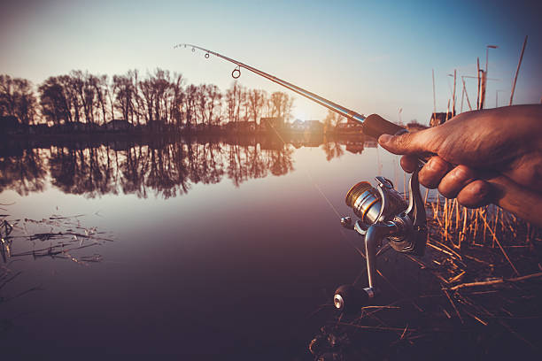 istock hand with spinning and reel on the evening summer lake 520412002