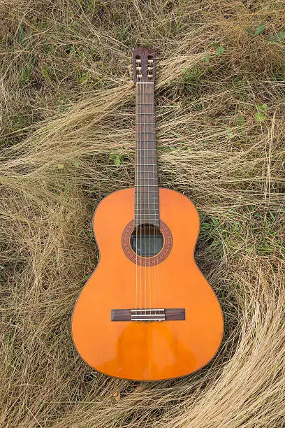 Photo of guitar on dry grass