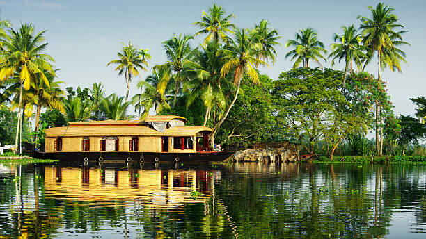 backwaters of Kerala on houseboat in the backwaters of Kerala, India kerala photos stock pictures, royalty-free photos & images
