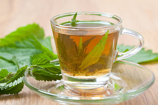 istock healthy nettle tea with stinging nettle blossom inside, 520413353