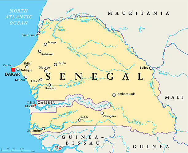 Senegal Political Map Senegal Political Map with capital Dakar, national borders, important cities, rivers and lakes. English labeling and scaling. Illustration. sénégal stock illustrations