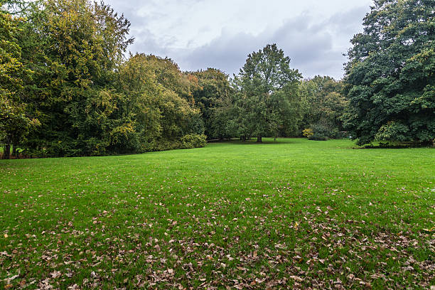 istock Summers day bed-meadow in a park 520413613