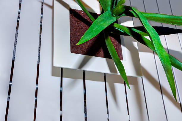 istock Detail of a house plant 520415708