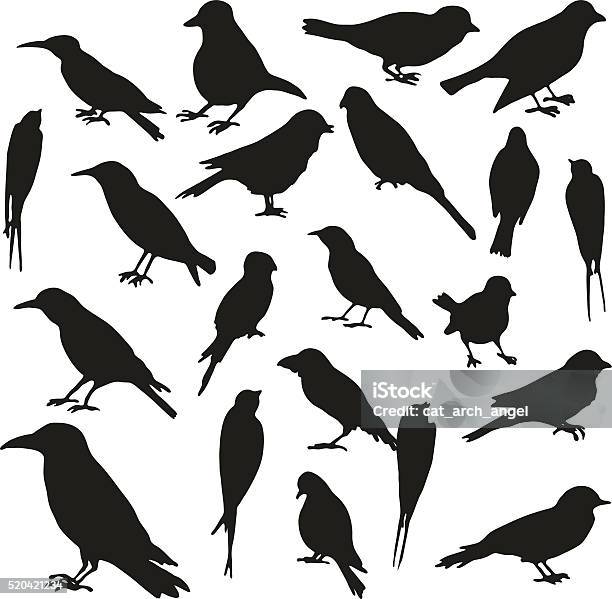 Vector Set Of Birds Silhouettes Stock Illustration - Download Image Now - In Silhouette, Bird, Swallow - Bird