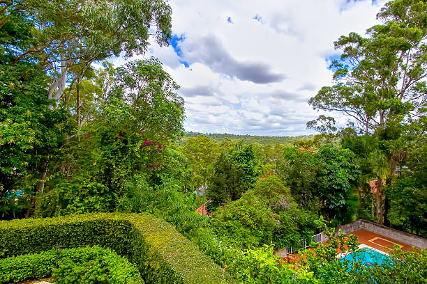 istock View from the garden to a forest 520422268