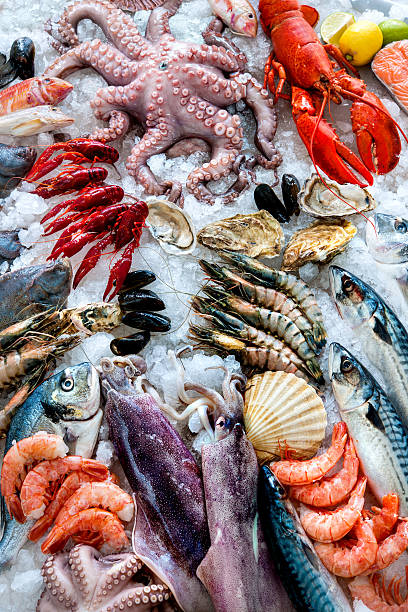 pescados y mariscos en el hielo - catch of fish seafood freshness fish fotografías e imágenes de stock