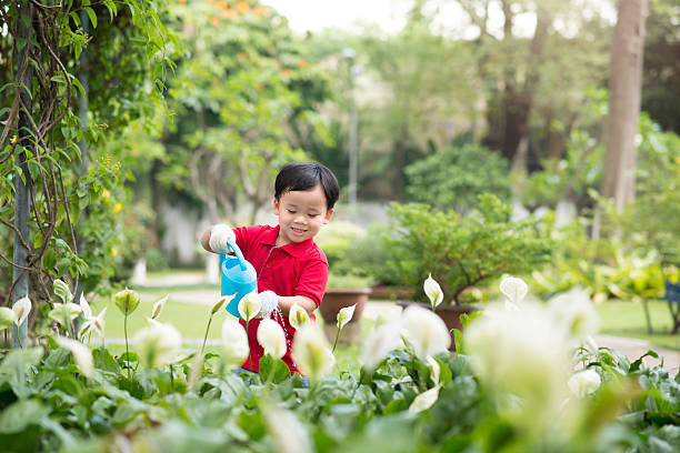 rapaz plantas no jardim de abeberamento - learning male studying smiling imagens e fotografias de stock