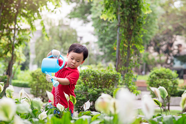 small boy watering plants small boy watering plants Crops and Horticulture in maldives stock pictures, royalty-free photos & images