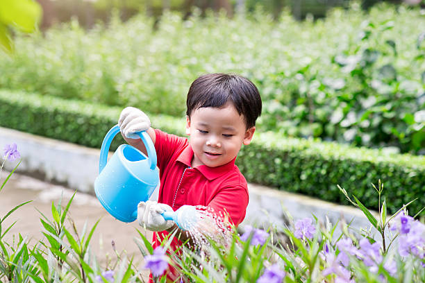 rapaz abeberamento de flores no jardim - learning male studying smiling imagens e fotografias de stock