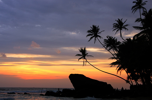 Silhouetted palm trees and rocks at sunset, Unawatuna, Sri Lanka