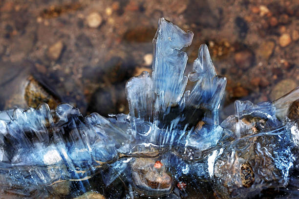 istock ice background, frozen water on the river 520437591