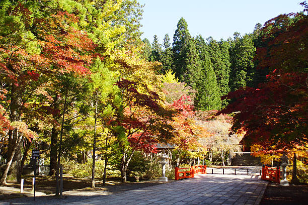Autumn in Koyasan - Japan