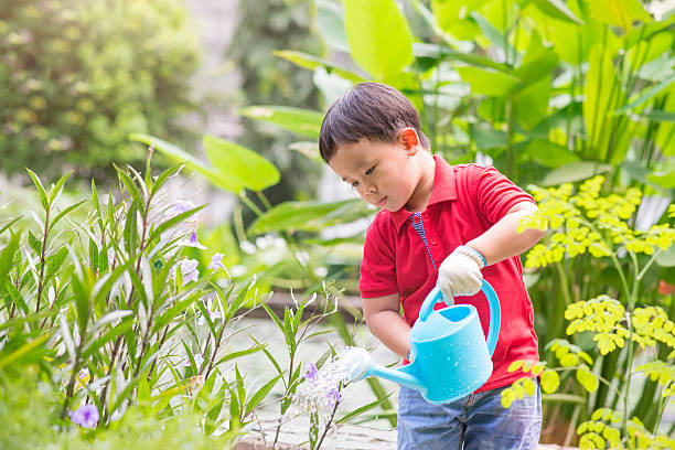 istock Little boy watering flowers 520488924