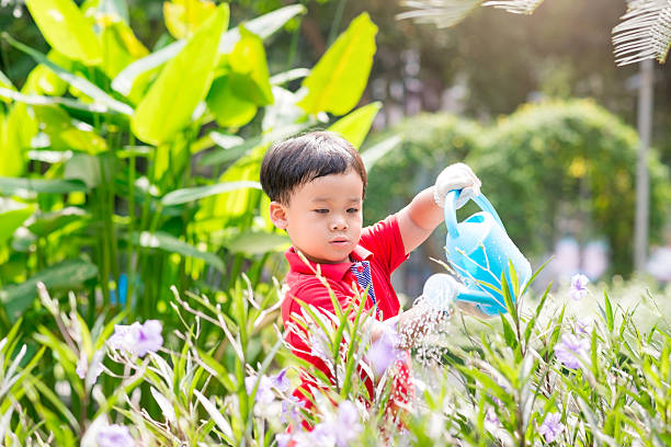 istock Toddler watering flowers 520489150