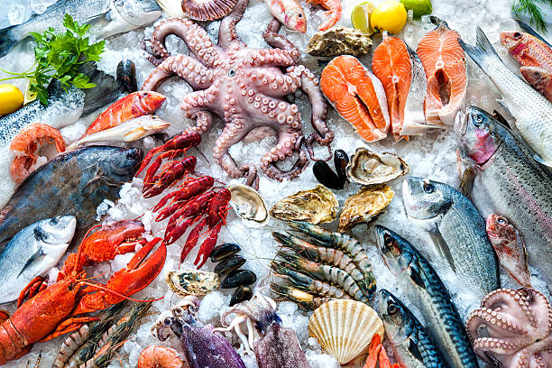 pescados y mariscos en el hielo - salmón pescado fotografías e imágenes de stock