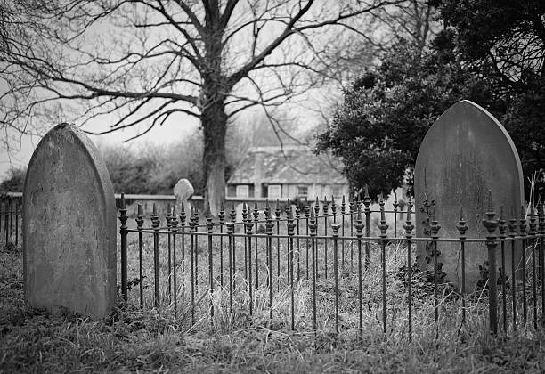 istock Pair of ancient gravestones is a gated cemetery area 520495870