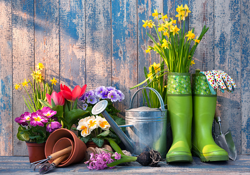 Gardening tools and flowers on the terrace in the garden