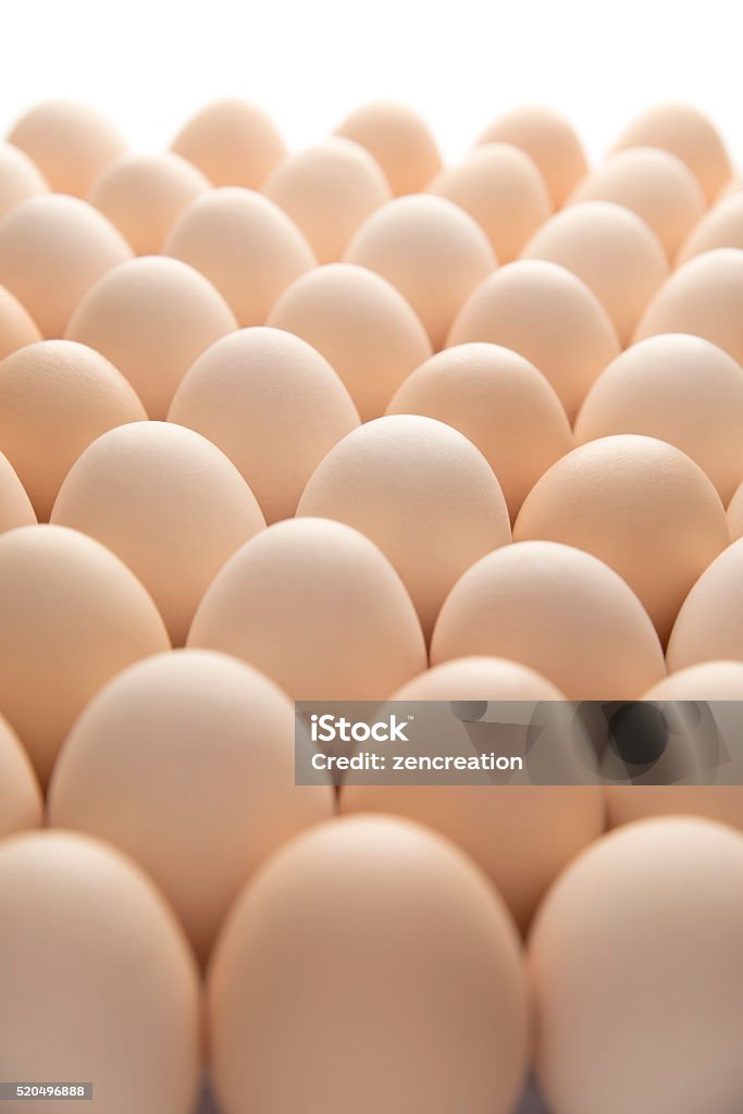 Large group of Brown egg. Large group of Brown egg stand regularly. Animal Egg Stock Photo