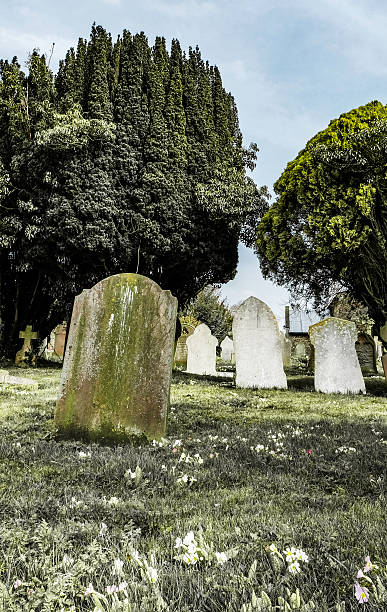 istock Springtime view of an ancient cemetery 520497410