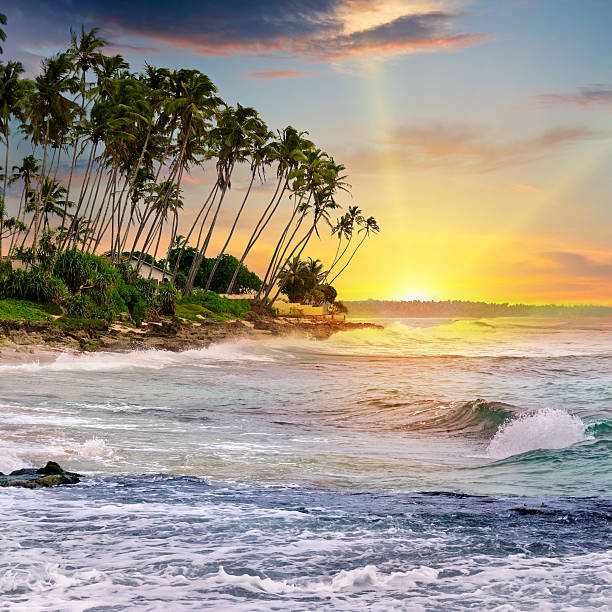 istock Fantastic sunrise on the ocean 520497536